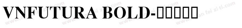 VnFutura Bold字体转换